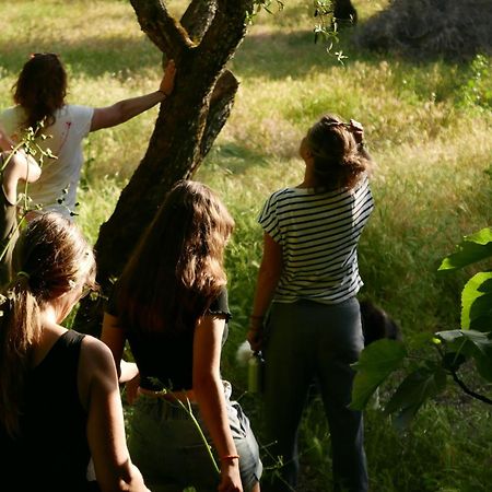 Casa Do Meio Em Quinta De Sao Pedro De Vir-A-Corca Monsanto Luaran gambar