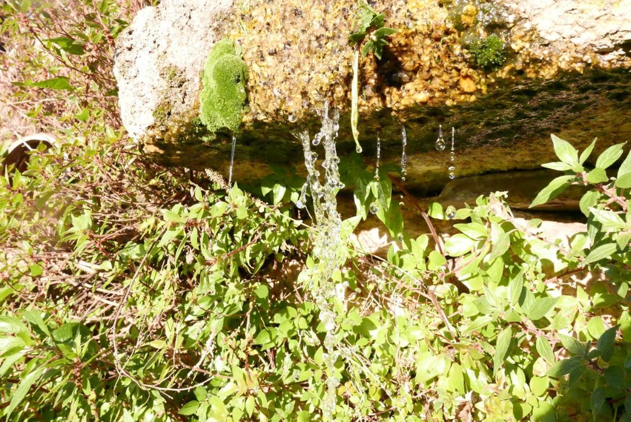 Casa Do Meio Em Quinta De Sao Pedro De Vir-A-Corca Monsanto Luaran gambar