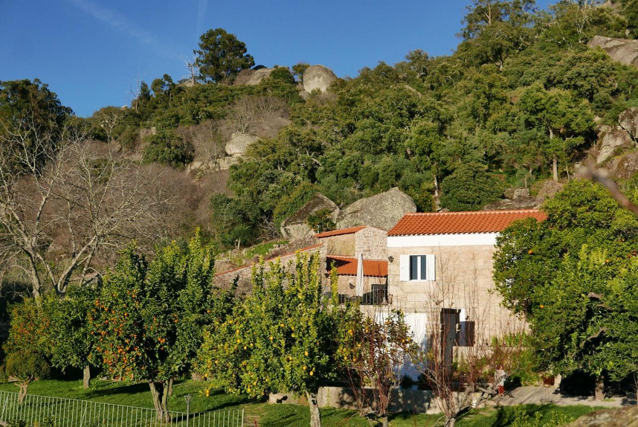 Casa Do Meio Em Quinta De Sao Pedro De Vir-A-Corca Monsanto Luaran gambar