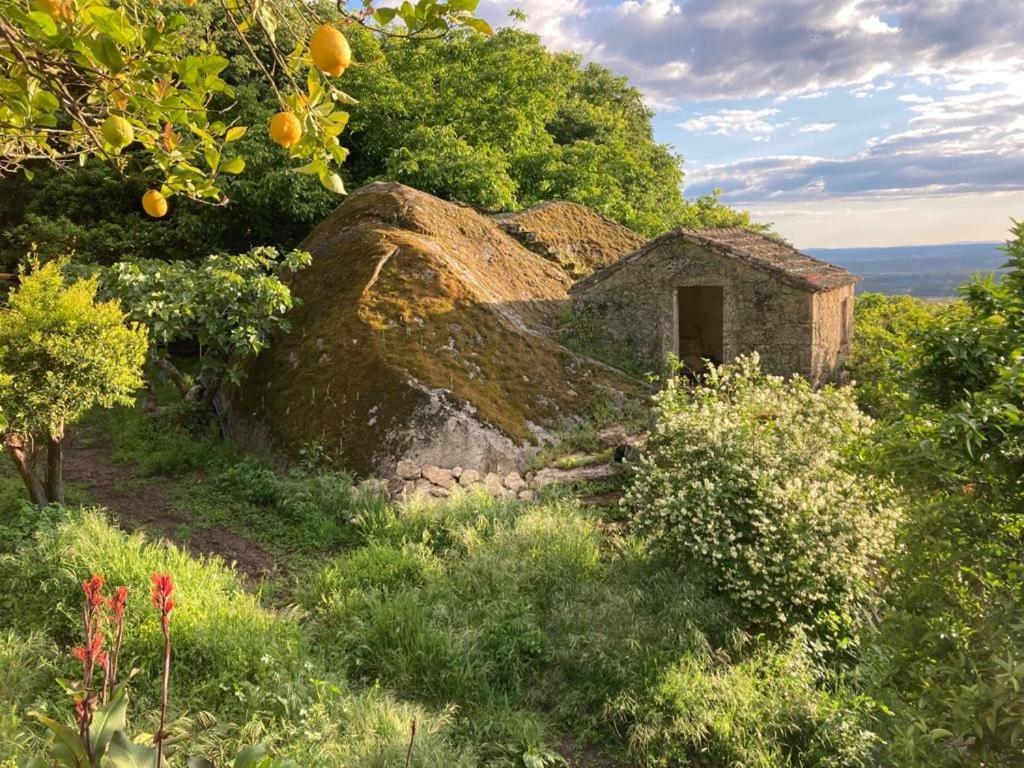 Casa Do Meio Em Quinta De Sao Pedro De Vir-A-Corca Monsanto Luaran gambar