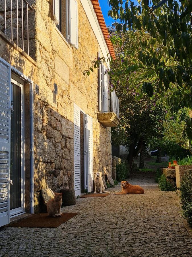 Casa Do Meio Em Quinta De Sao Pedro De Vir-A-Corca Monsanto Luaran gambar