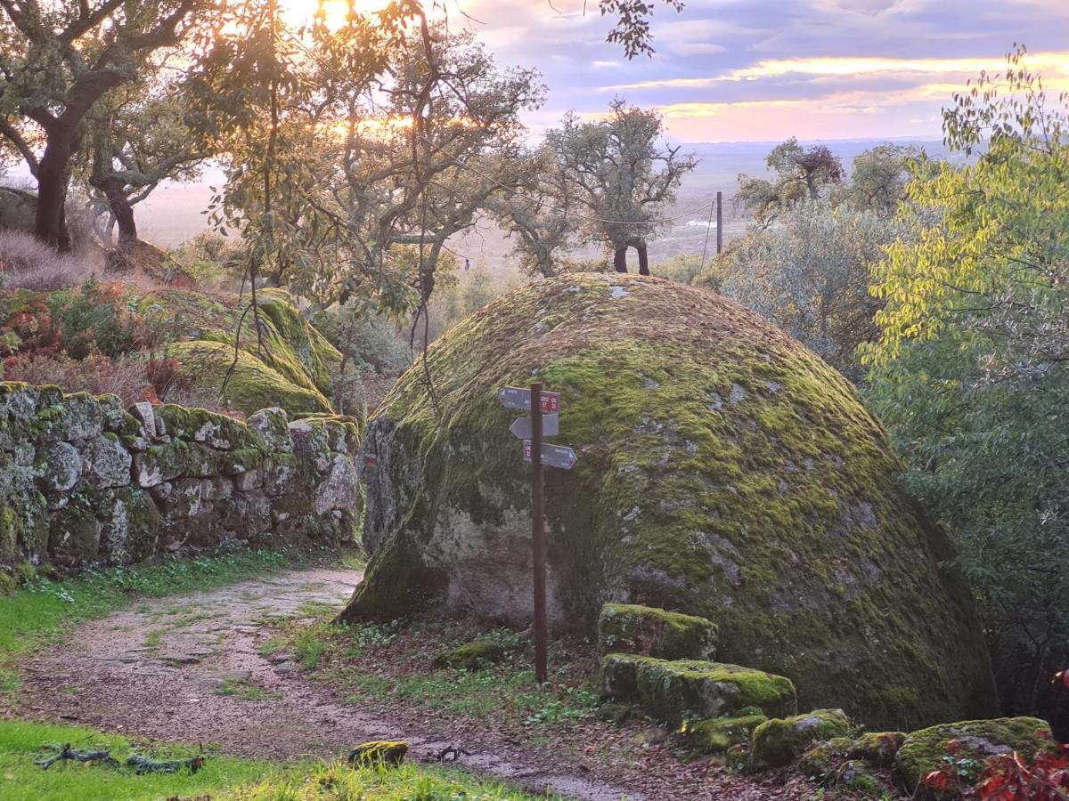 Casa Do Meio Em Quinta De Sao Pedro De Vir-A-Corca Monsanto Luaran gambar