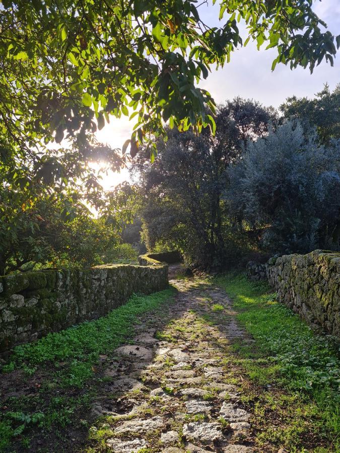 Casa Do Meio Em Quinta De Sao Pedro De Vir-A-Corca Monsanto Luaran gambar